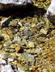 Magie et Beaut� de la Nature au Pont d'Espagne !