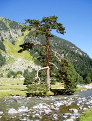 Magie et Beaut� de la Nature au Pont d'Espagne !
