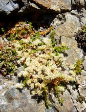 Magie et Beaut� de la Nature