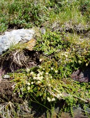 Magie et Beaut� de la Nature