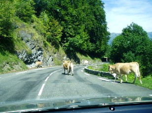 Aux alentours du col du Tourmalet